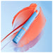 Baume à lèvres Kind & Free Hydratant et Nutritif avec Couleur - Rimmel London : 003 - Tropical Spark - 5