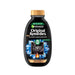 Shampooing Équilibrant au Charbon Magnétique - Garnier : 250 ml - 1
