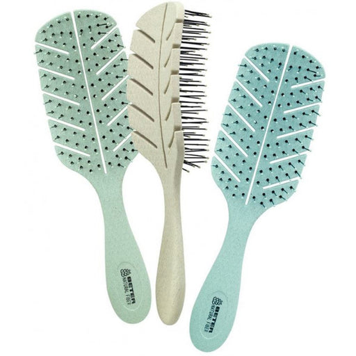 Brosse Squelette en Fibres Naturelles : 1 Unité - Beter - 1