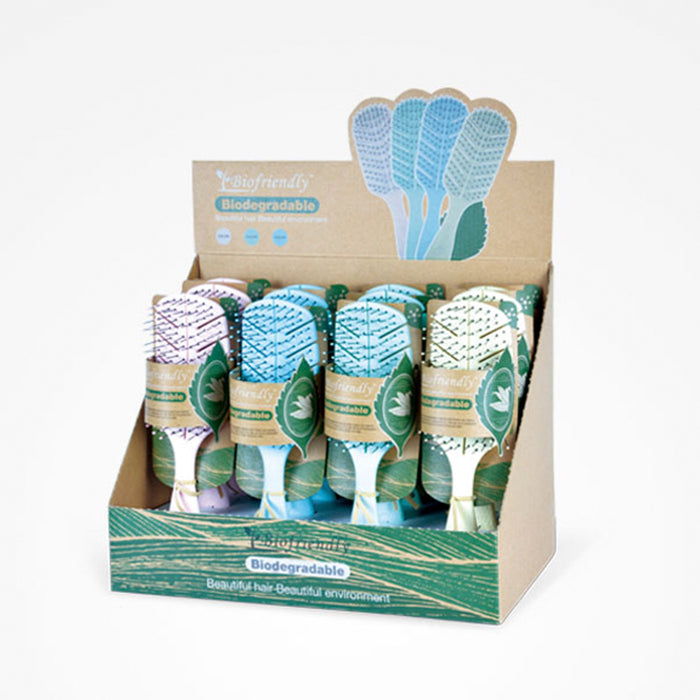 Présentoir à brosse squelette biodégradable Biofriendly 12 unités - Bifull - 1