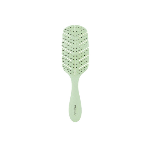 Brosse Squelette Biodégradable Verte Biofriendly - Bifull - 1