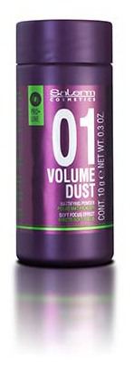 Volume Dust Poudre Matifiante 10 gr - Salerm - 1