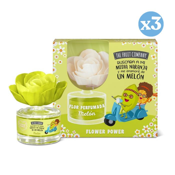Pack 3x - Fleur Parfumée Melon - The Fruit Company - The Fruit Company - 1