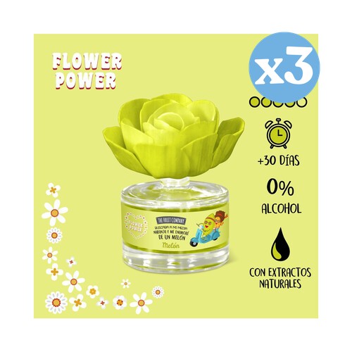 Pack 3x - Fleur Parfumée Melon - The Fruit Company - The Fruit Company - 2