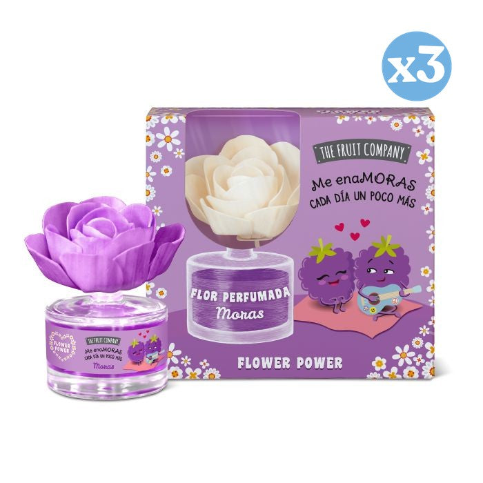 Pack 3x - Fleur Parfumée Mûres - The Fruit Company - The Fruit Company - 1