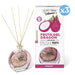 Pack 3x - Mikado Infusion Fruit Du Dragon Vitamin+ - The Fruit Company - 1