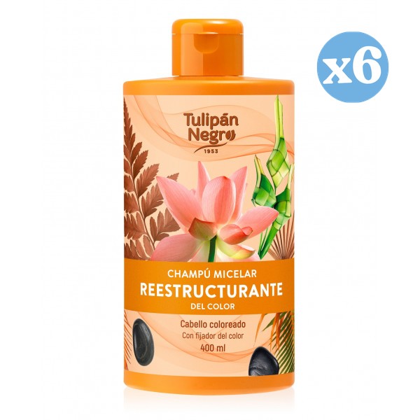 Pack 6x - Shampooing micellaire restructurant de la couleur - Tulipan Negro - 1