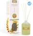 Diffuseur Mikado 100ml - Prady - 1