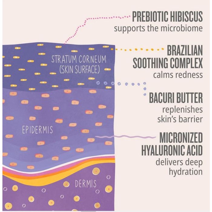 Délice Drench Beurre Corporel Crème 240 ml - Sol de Janeiro - 3