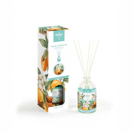 Diffuseur Mikado 100ml - Prady - 1