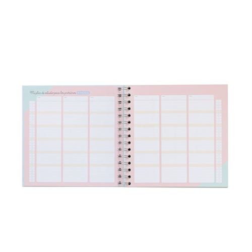 Study Planner &#39;Mon plan directeur pour que ce cours se passe bien&#39; - Mr. Wonderful - 12