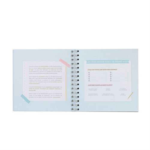 Study Planner &#39;Mon plan directeur pour que ce cours se passe bien&#39; - Mr. Wonderful - 3